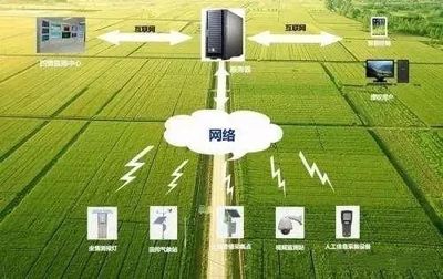 未來農業科技暢想曲 植物工廠、智慧農業與功能食品的技術交響